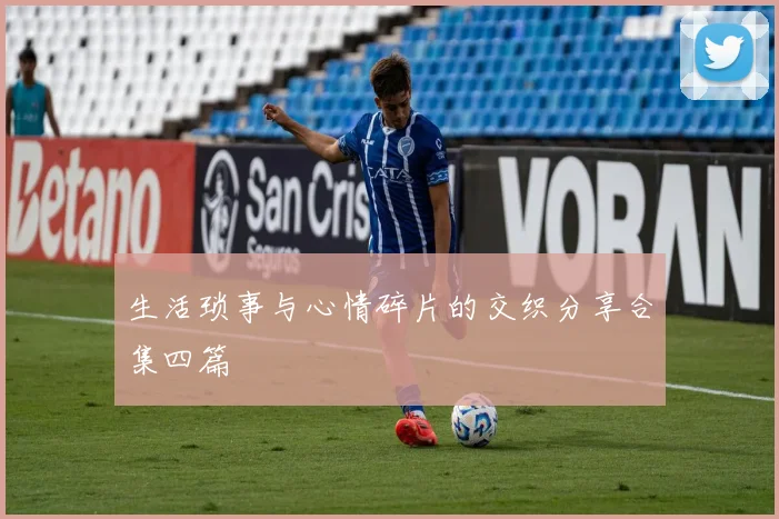 生活琐事与心情碎片的交织分享合集四篇
