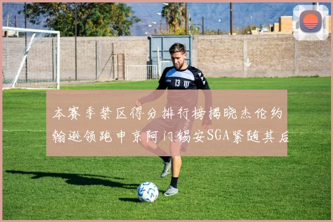 本赛季禁区得分排行榜揭晓杰伦约翰逊领跑申京阿门锡安SGA紧随其后